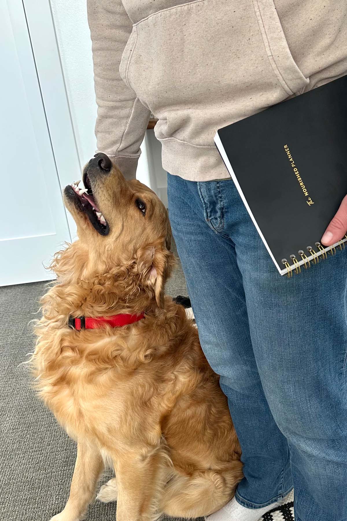 Featured Image for Nourished Planner Article The Powerful Reason Men Are Returning to Paper Planners